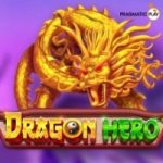 dragon_hero